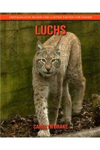 Luchs