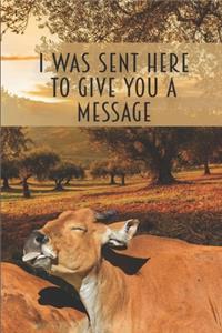 I Was Sent Here To Give You A Message