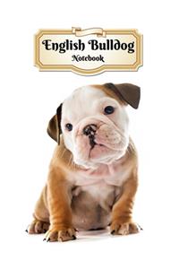 English Bulldog Notebook