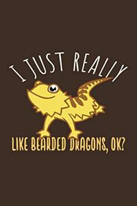 I Just Really Like Bearded Dragon, Ok?