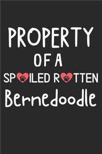 Property Of A Spoiled Rotten Bernedoodle