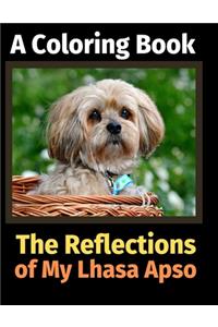 The Reflections of My Lhasa Apso