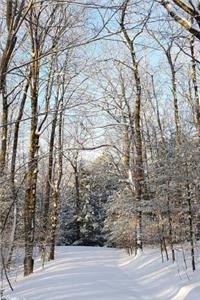 2019 Weekly Planner Winter Weather Sunlight Shadows 134 Pages