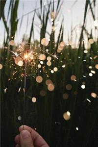 Sparkler in the Green Field