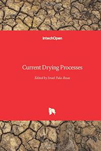 Current Drying Processes