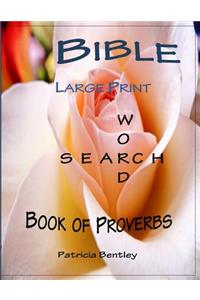 Bible Large Print Word Search