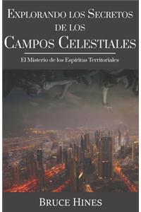 Explorando Secretos de los Campos Celestiales