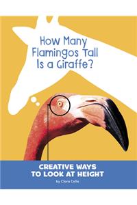 How Many Flamingos Tall Is a Giraffe?