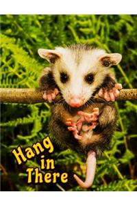 Hang in There