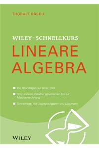 Wiley-Schnellkurs Lineare Algebra