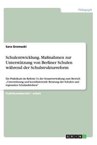 Schulentwicklung. Maßnahmen zur Unterstützung von Berliner Schulen während der Schulstrukturreform