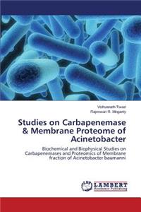 Studies on Carbapenemase & Membrane Proteome of Acinetobacter