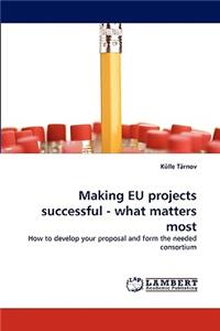 Making Eu Projects Successful - What Matters Most