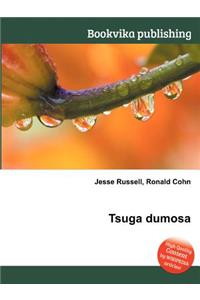 Tsuga Dumosa