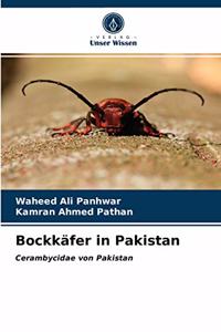 Bockkäfer in Pakistan