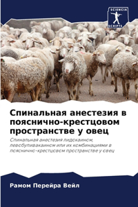 Спинальная анестезия в пояснично-крестцо