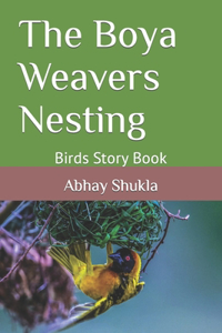 Boya Weavers Nesting