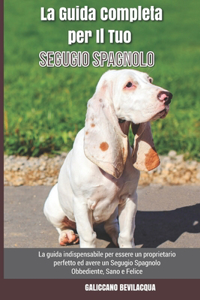 La Guida Completa per Il Tuo Segugio Spagnolo