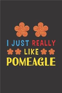 I Just Really Like Pomeagle