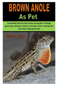 Brown Anoles as Pet