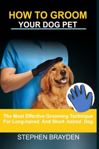 How to Grooming Your Dog Pet