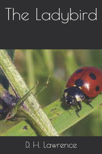 The Ladybird