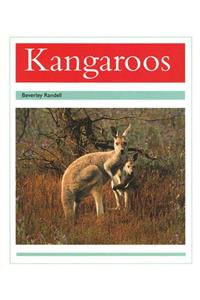 Kangaroos