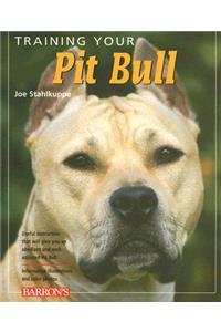 Training Your Pit Bull