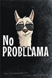 No ProbLlama