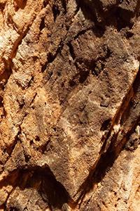 School Composition Book Natural Rock Formation