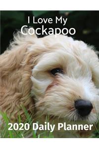 I Love My Cockapoo