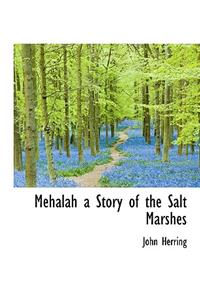 Mehalah a Story of the Salt Marshes