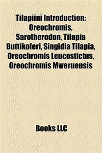 Tilapiini Introduction: Oreochromis, Sarotherodon, Tilapia Buttikoferi, Singidia Tilapia, Oreochromis Leucostictus, Oreochromis Mweruensis