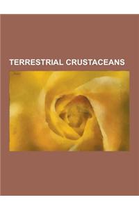 Terrestrial Crustaceans: Aratus Pisonii, Australian Land Hermit Crab, Cardisoma, Cardisoma Armatum, Cardisoma Carnifex, Cardisoma Crassum, Card