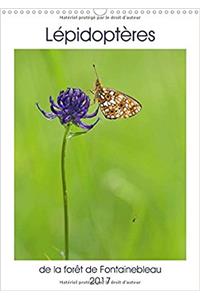 Lepidopteres De La Foret De Fontainebleau 2017