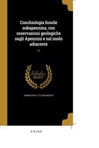 Experimental Investigation on the Web Stability of Plate Girders