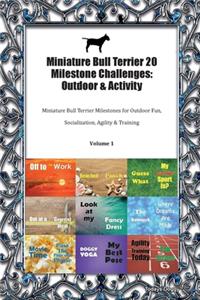 Miniature Bull Terrier 20 Milestone Challenges