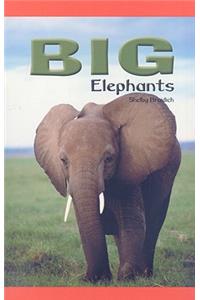 Big Elephants