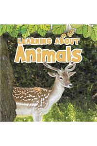 Learning about Animals