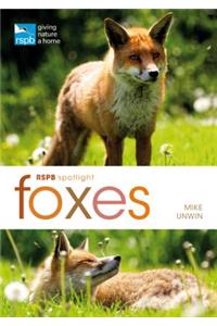 RSPB Spotlight: Foxes