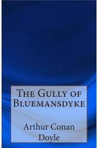 Gully of Bluemansdyke