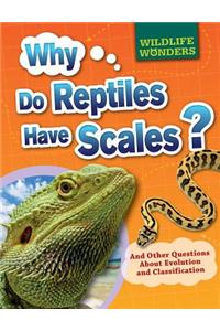 Why Do Reptiles Have Scales?