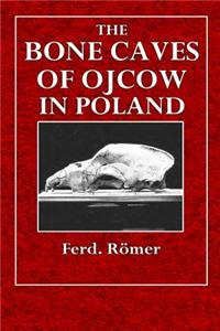 The Bone Caves of Ojcow in Poland