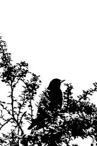 Mind Blowing Black Bird 200 page lined journal