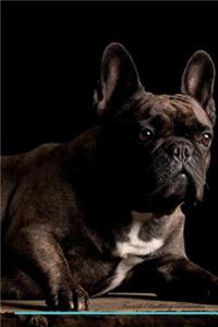 French Bulldog Affirmations Workbook French Bulldog Presents: Positive and Loving Affirmations Workbook. Includes: Mentoring Questions, Guidance, Supporting You.