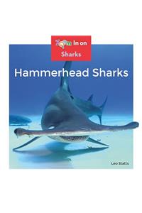 Hammerhead Sharks