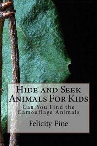 Hide and Seek Animals For Kids