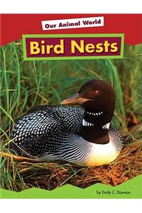Bird Nests