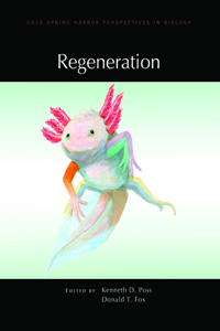 Regeneration