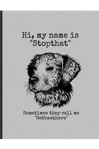 Hi, My Name Is 